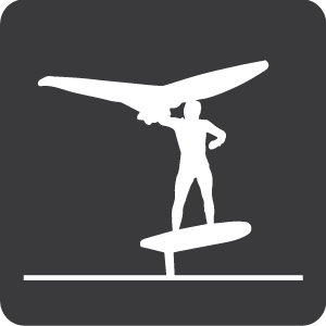 Voga Foil Board program