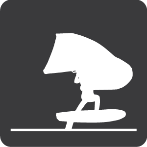 Voga Foil Board program